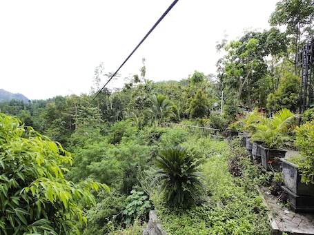 Ökotouren. Hotel O Desa Wisata Tebing Lingga