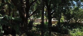 Prestige Dinokeng Retreat