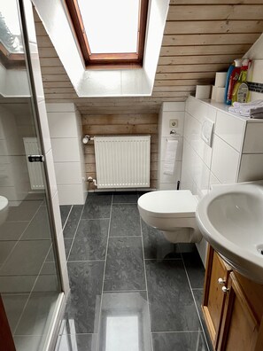 Douche, séchoir à cheveux, serviettes fournies, papier de toilette