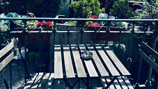 Eine Holzterrasse mit Tisch und Stühlen, umgeben von Grünpflanzen und Gebäuden im Hintergrund.