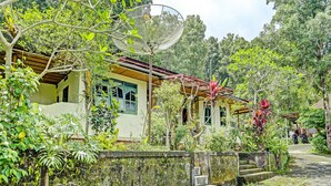 Una casa tradicional con antena parabólica, rodeada de exuberante vegetación y un muro de piedra.
