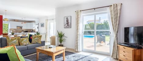 TV, fireplace, books