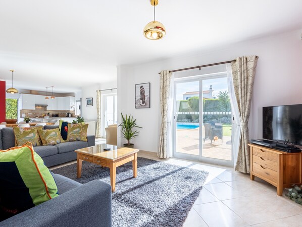 TV, fireplace, books