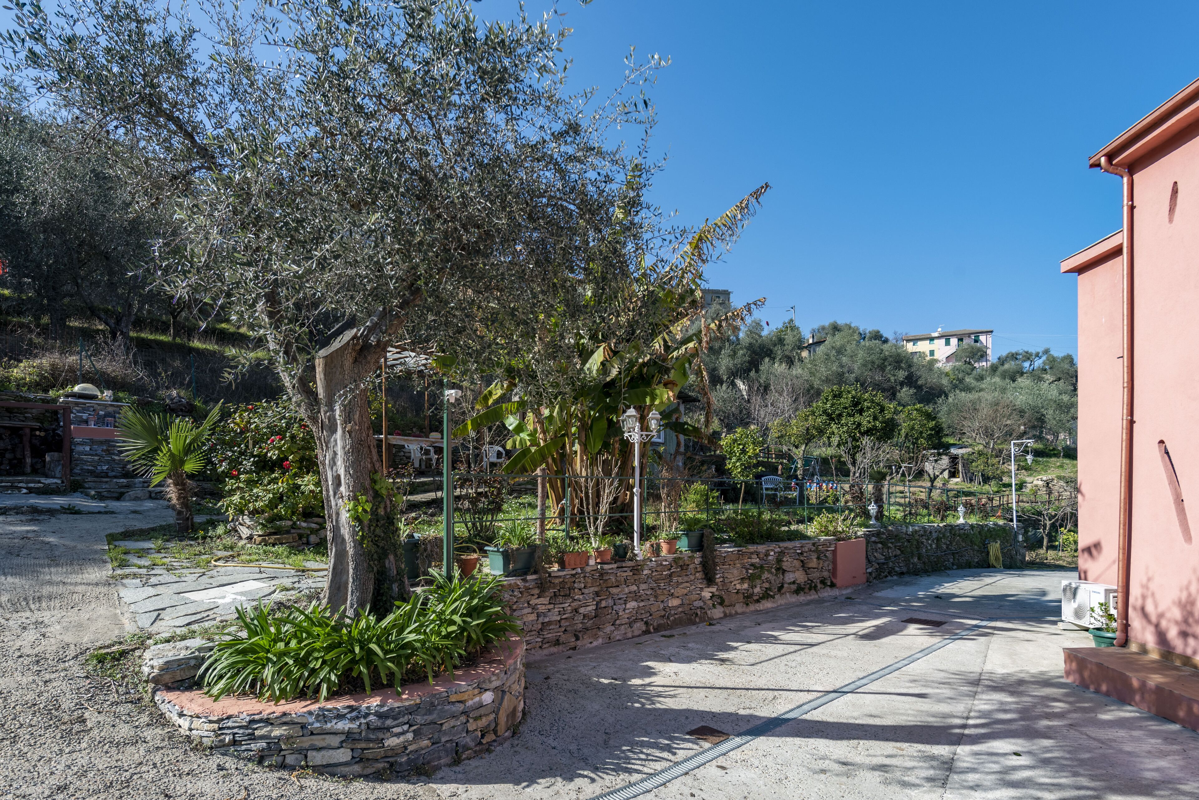 Parco della struttura