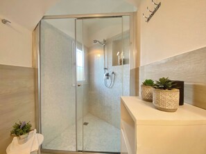 Shower, hair dryer, bidet, towels