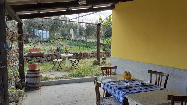 Un patio al aire libre con una mesa y sillas, una pared amarilla y vistas a un jardín y árboles.