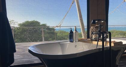 Out of Africa, the Bahamas - Embrace Nature & Romance