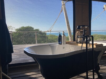 Out of Africa, the Bahamas - Embrace Nature & Romance 