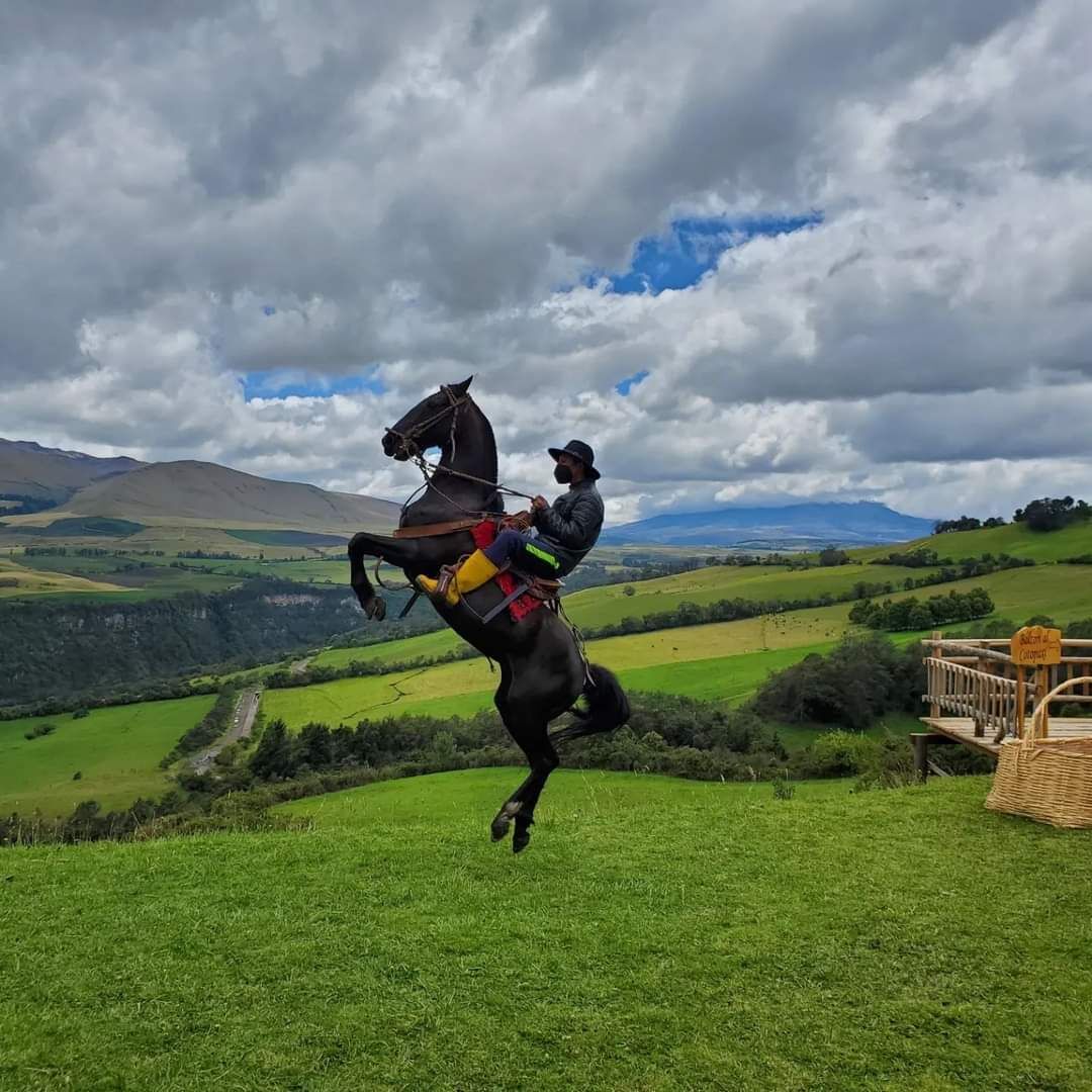 Una persona montando a caballo en una colina cubierta de hierba, con un paisaje pintoresco al fondo.