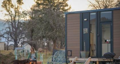 Little Argyle Tiny House by Tiny Away
