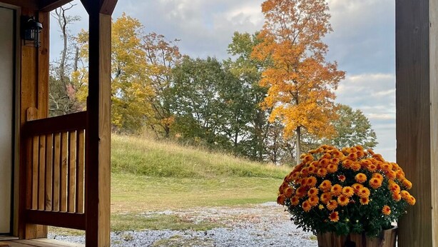 A wooden porch with a wooden railing, a potted plant with orange flowers, and a view of trees with autumn foliage.