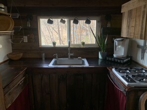 Fridge, microwave, stovetop, coffee/tea maker - Tiny House, Big Views near Asheville (Candler)