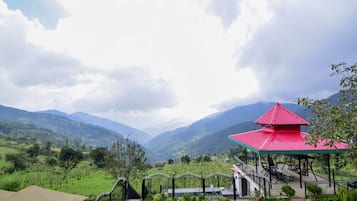 36-inch LED TV with satellite channels, TV