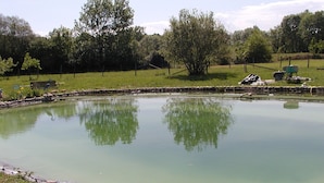 A calm pond with a wooden bench and a bird statue, surrounded by trees and a grassy area. - Former farm, very quiet location, lots of space (Libaros)