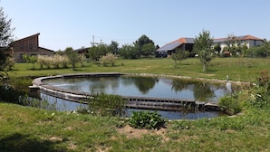 A pond with a wooden deck, surrounded by grass and trees, with houses in the background. - Former farm, very quiet location, lots of space (Libaros)