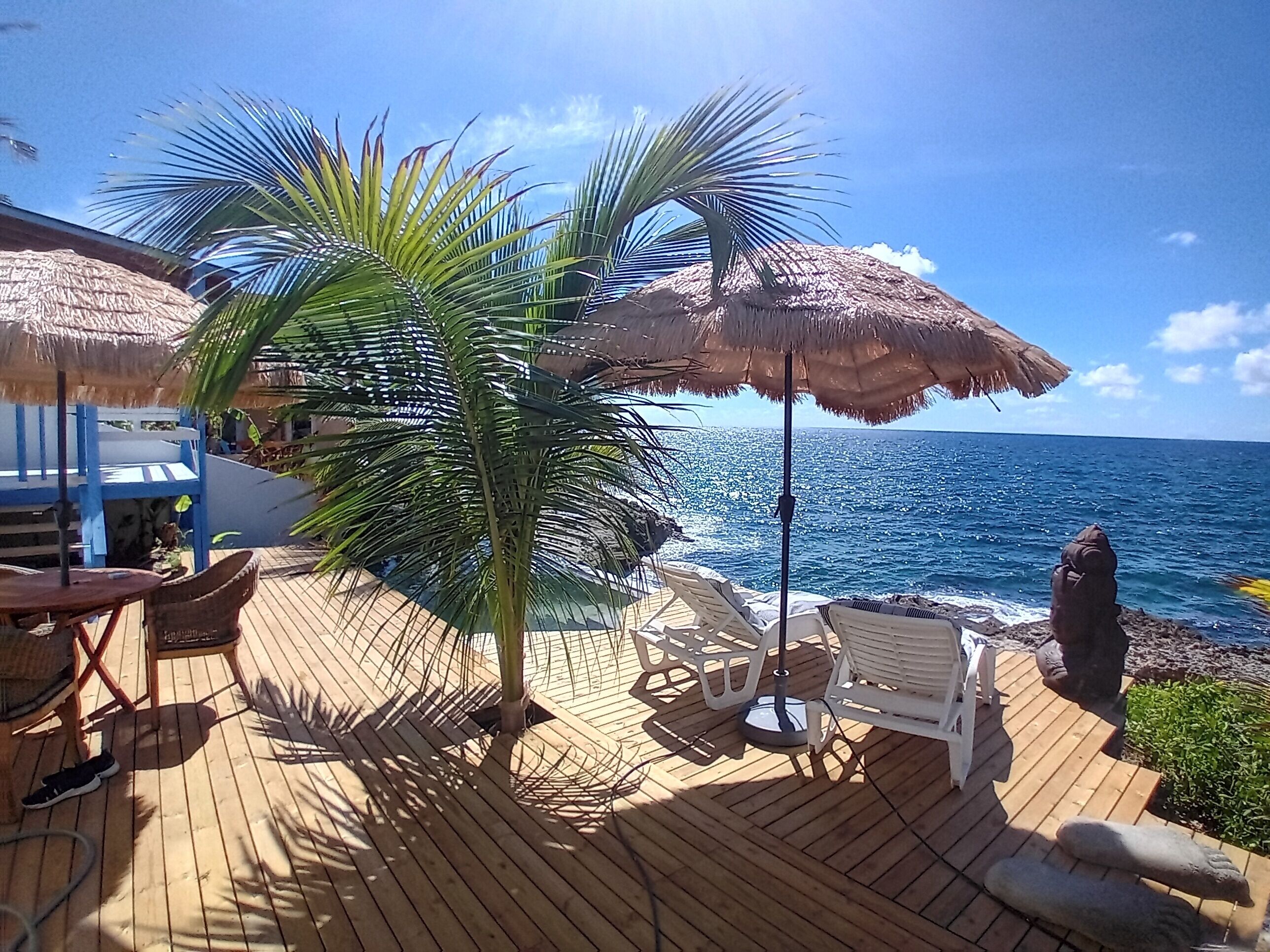 A wooden deck with thatched umbrellas, lounge chairs, and a palm tree.