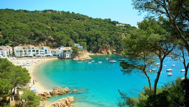 A coastal beach with clear turquoise waters, a sandy shore, and a backdrop of lush green hills.