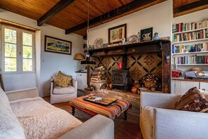 TV, fireplace, DVD player