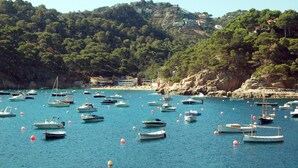 Une zone côtière où de nombreux bateaux sont amarrés, entourée de falaises rocheuses et d’une végétation luxuriante.