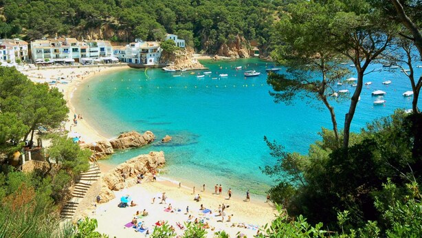 Une plage côtière aux eaux turquoise et limpides, bordée d’un rivage sablonneux, avec, en arrière-plan, de luxuriantes collines verdoyantes.