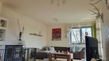 TV connectée, cheminée, livres