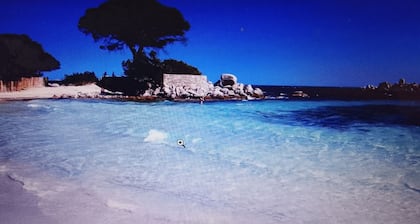 Wooden chalet 10 mins walk from Porto vecchio center