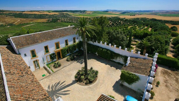 Un edificio blanco con techo de tejas, rodeado por un patio con palmeras y vistas a viñedos.