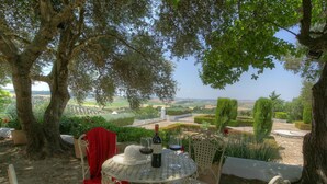 Un área de comedor al aire libre con mesa y sillas, rodeada de árboles y vistas al campo.