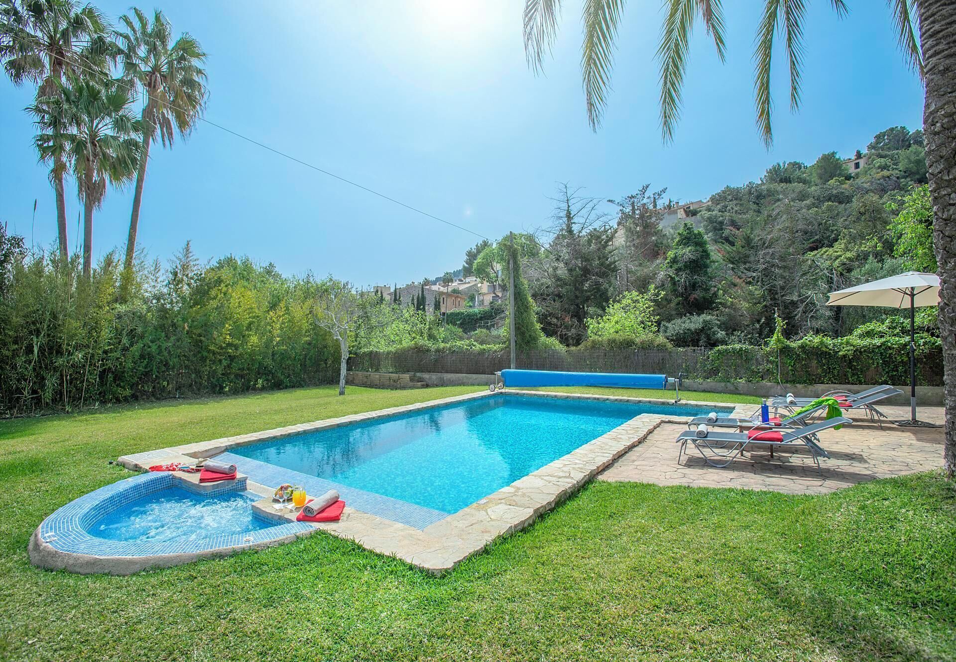 A rectangular swimming pool with a hot tub, surrounded by grass and palm trees.