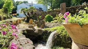 A garden with a small waterfall, stone walls, and potted plants. - El Molino del Pilón - Five Bedroom Villa, Sleeps 10 (Arcos de la Frontera)