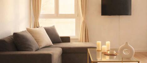 Fernseher, Arbeitsbereiche