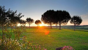A grassy field with trees and flower pots. - Villa La Plaine - Four Bedroom Villa, Sleeps 8 (Monclar-de-Quercy)