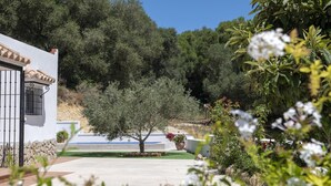 A villa with a stone facade, a small pool, and a garden with olive trees and potted plants. - Casa Bellota - One Bedroom Villa, Sleeps 2 (Vejer de la Frontera)