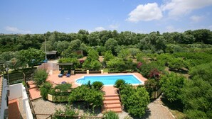 A pool surrounded by lush greenery and a clear sky.