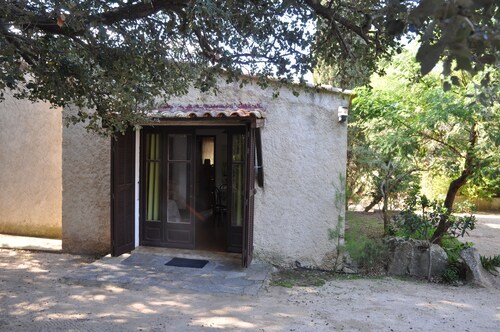 Pavillon Kiwi Malacucina