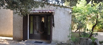 Pavillon Kiwi Malacucina