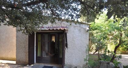 Pavillon Kiwi Malacucina