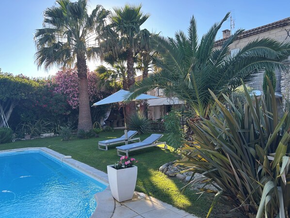 Ein Garten mit Swimmingpool, Palmen und Blumenbeeten.