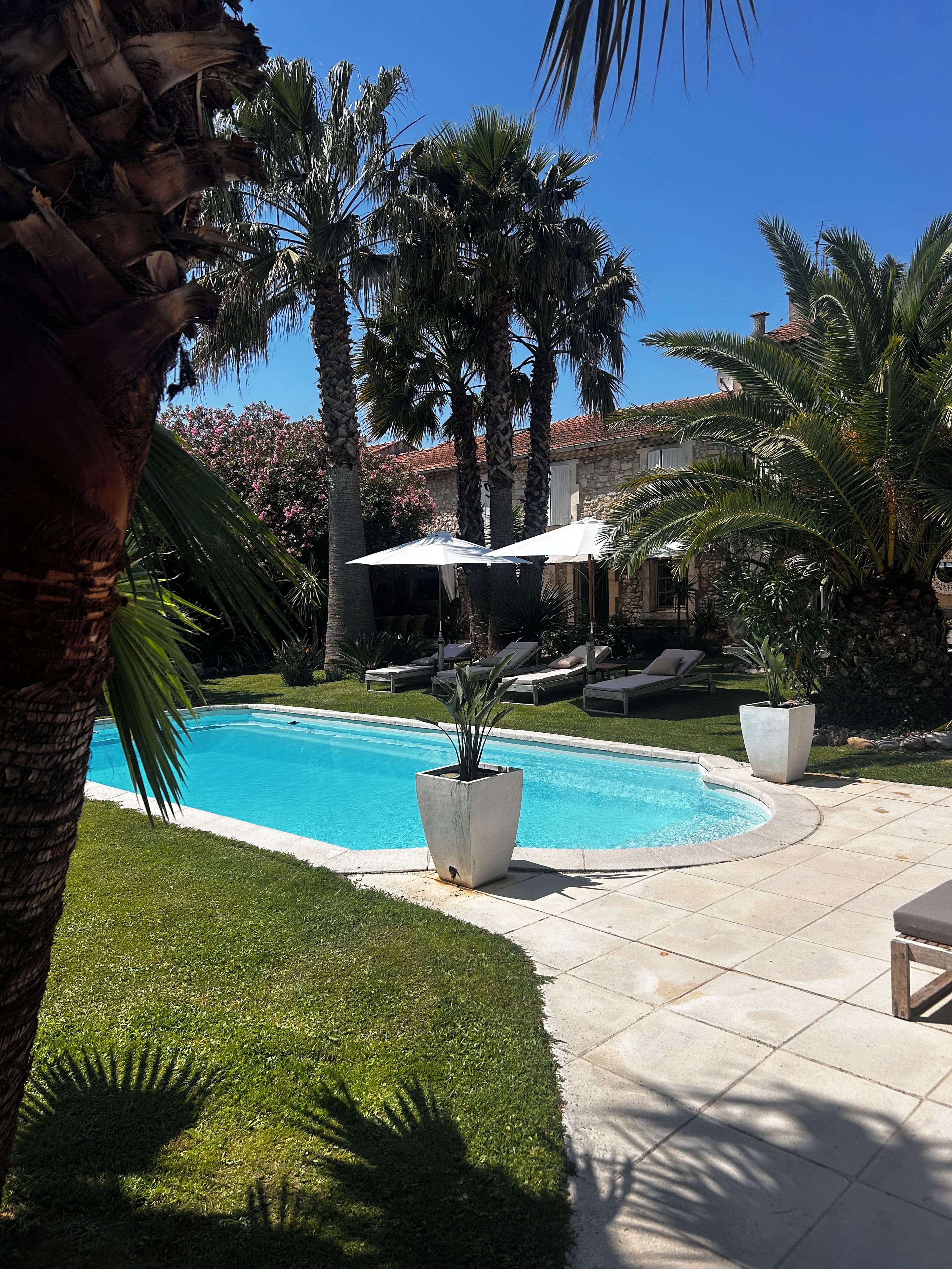 A swimming pool with palm trees, lounge chairs, and a stone building in the background.