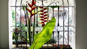 A balcony with a wrought iron railing, a large green leaf, and a red and yellow bird of paradise flower. - 50N15 B&B (Cali)