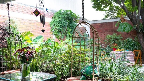 A hanging chair in a lush garden with a glass table and a vase of flowers. - 50N15 B&B (Cali)
