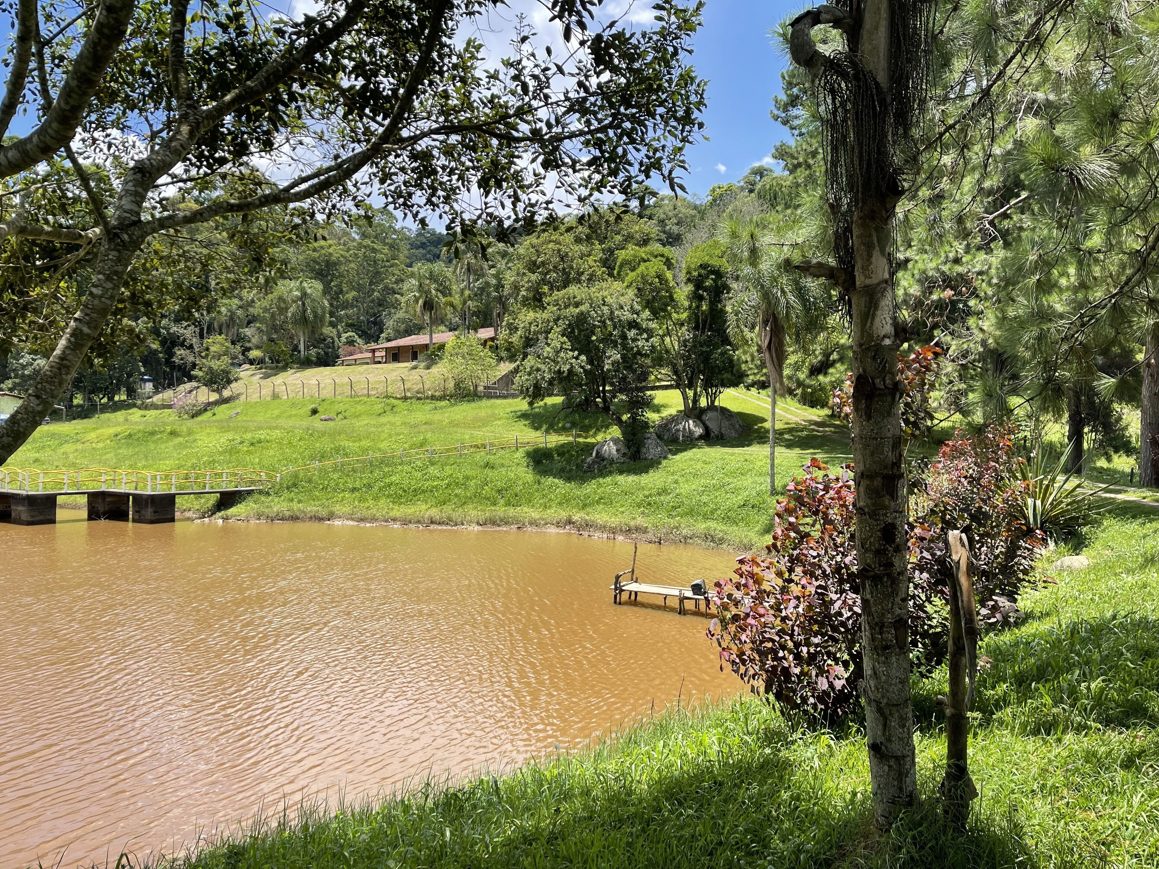 A serene landscape with a pond, a wooden dock, and a grassy area with trees.