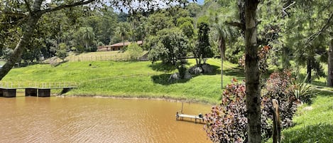 A serene landscape with a pond, a wooden dock, and a grassy area with trees.