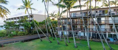 Un hotel de varios pisos con balcones, rodeado de palmeras y vistas al océano.
