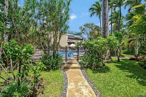 Piscina externa