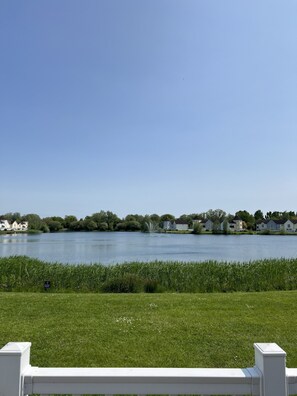 星評価なしの画像、2 / 32、ボタン