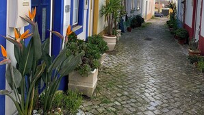 Une ruelle étroite pavée, bordée de bâtiments aux façades bleues et blanches, de plantes en pot et sous un ciel dégagé.