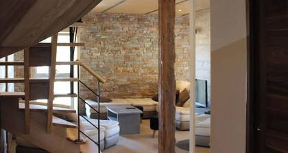 Grand Appartement Avec Loggia