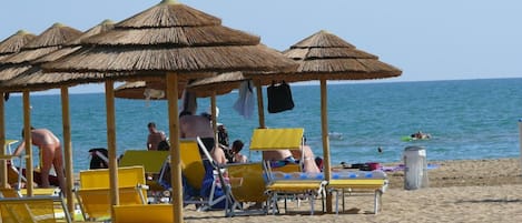 بالقرب من الشاطئ