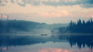 A calm lake with a small boat in the center, surrounded by dense forest and power lines in the background. - Cozy Suite 15 min away from Mt Tremblant. Pet Friendly (Mont-Tremblant)